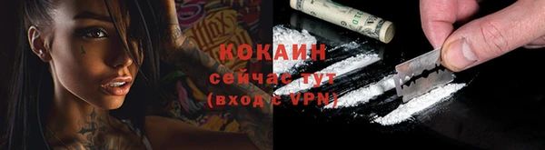 твердый Покачи