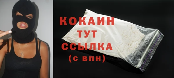твердый Покачи
