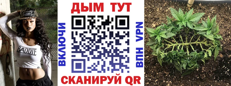 Марихуана тримм  где найти   Светогорск 